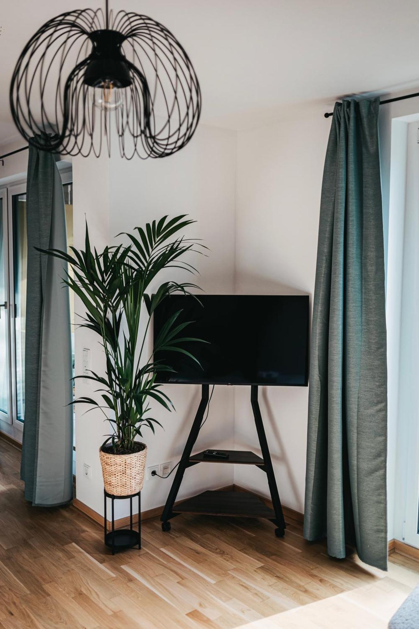 Neue Wohnung Im Zentrum دريسدن المظهر الخارجي الصورة